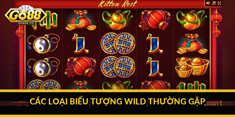 Các loại biểu tượng Wild thường gặp