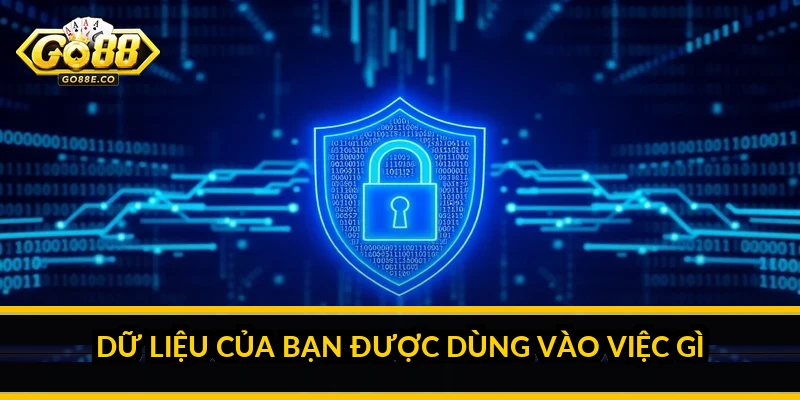 Dữ liệu của bạn được dùng vào việc gì
